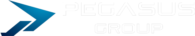 PEGASUS GROUP ペガサスグループ