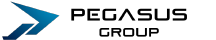 ペガサスグループ